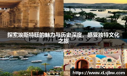 星空·综合体育官方网站