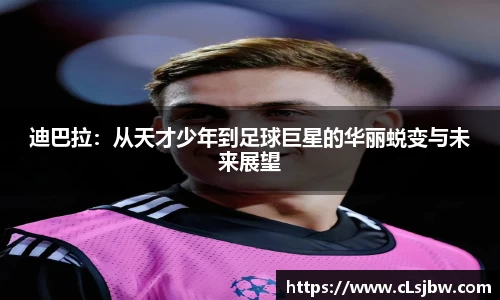 星空·综合体育官网